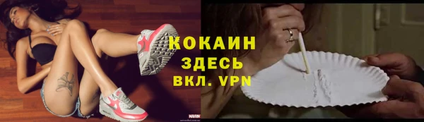 прущий лед Алзамай