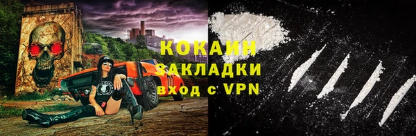 стаф Алексин