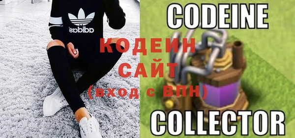 крисы Корсаков