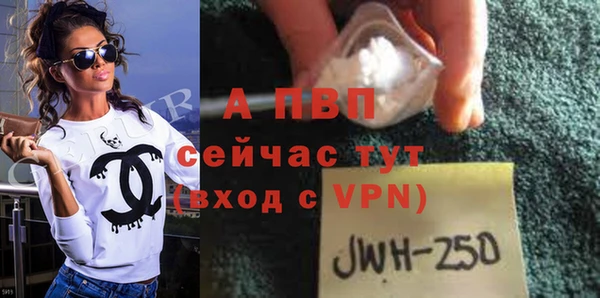 стаф Алексин