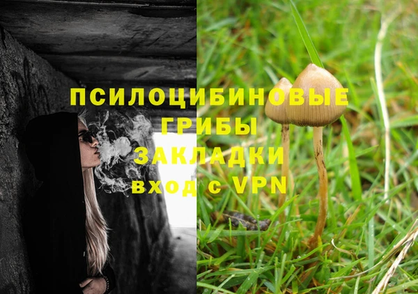 стаф Алексин