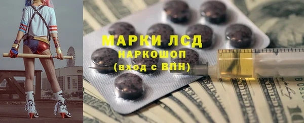 прущий лед Алзамай